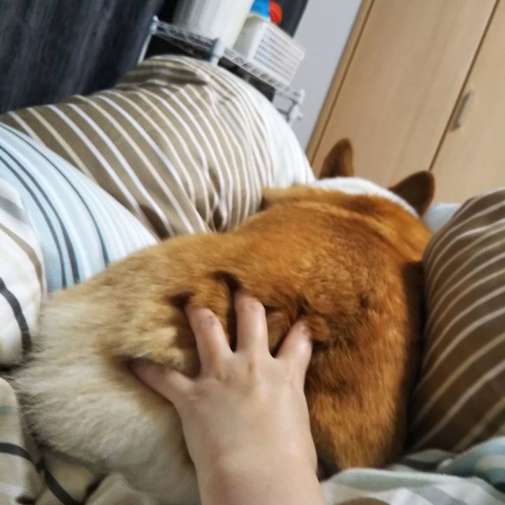 F6d451ca 526a 46e4 b7f8 3b55286a96b2 1541846808983