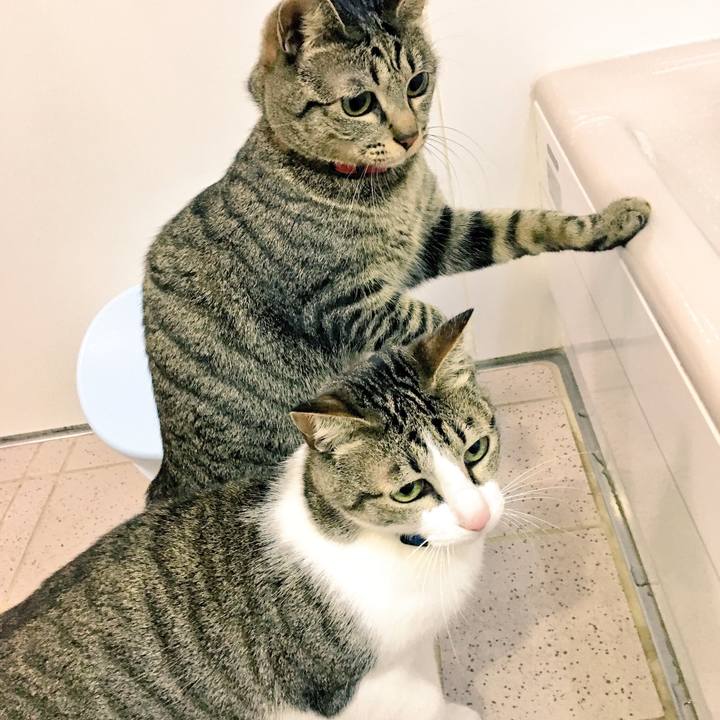 F6d45994 f969 4b21 a1e6 6193b4512668 1517370238923