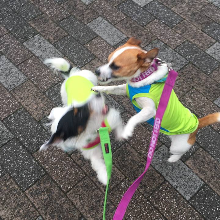 F6d46117 d020 4240 9ad4 99094af9ba8a 1655205001543