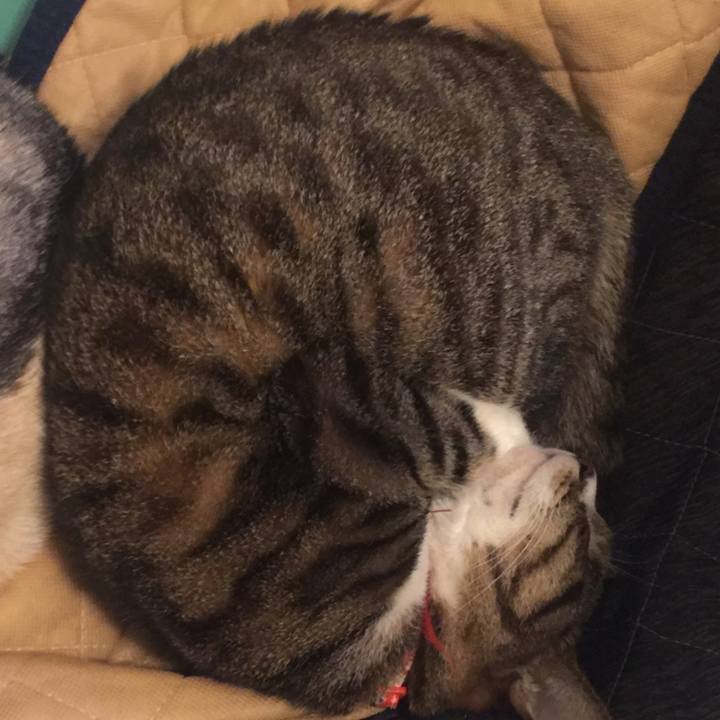 F6d47bdc b97b 4601 9145 f48913d6f6cf 1547556429326