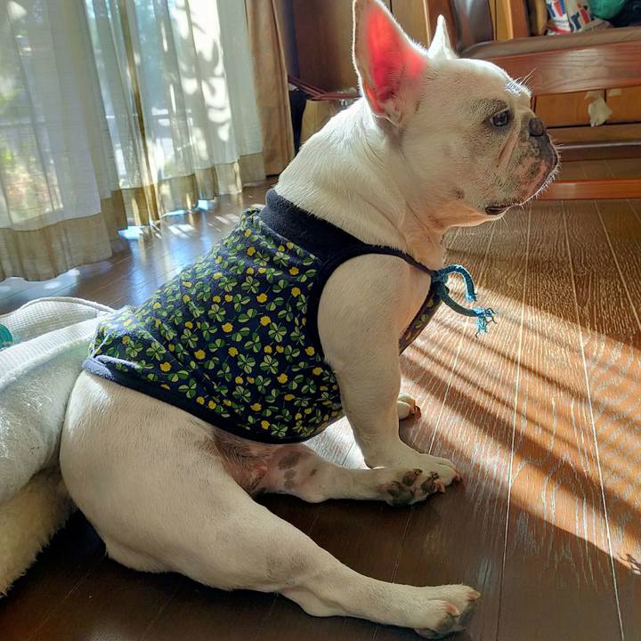 F6d4e30f 8bfa 43f2 8080 92ce7c6458cb 1667602843300