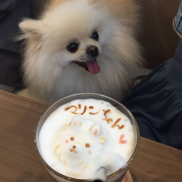 F6d4f3f4 de39 453e af4d 5c5b32056e3d 1535267302698