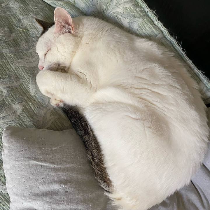 F6d51935 b301 4c4c ba5e 5e085a1efa28 1691286858860