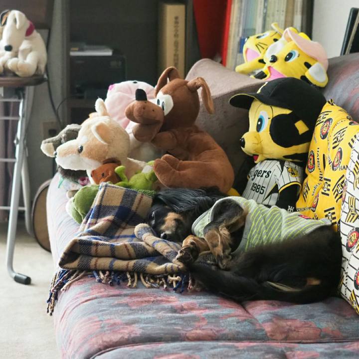 F6d5299d 1061 44ef a1c1 59df58ce6860 1536973530626