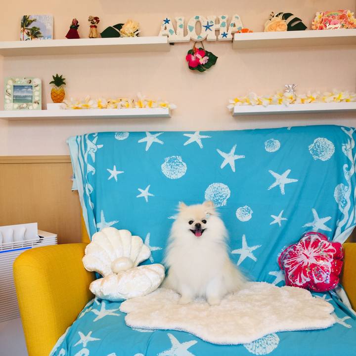 F6d53a25 71c0 4d28 bf56 79a13d291bc1 1593407160296