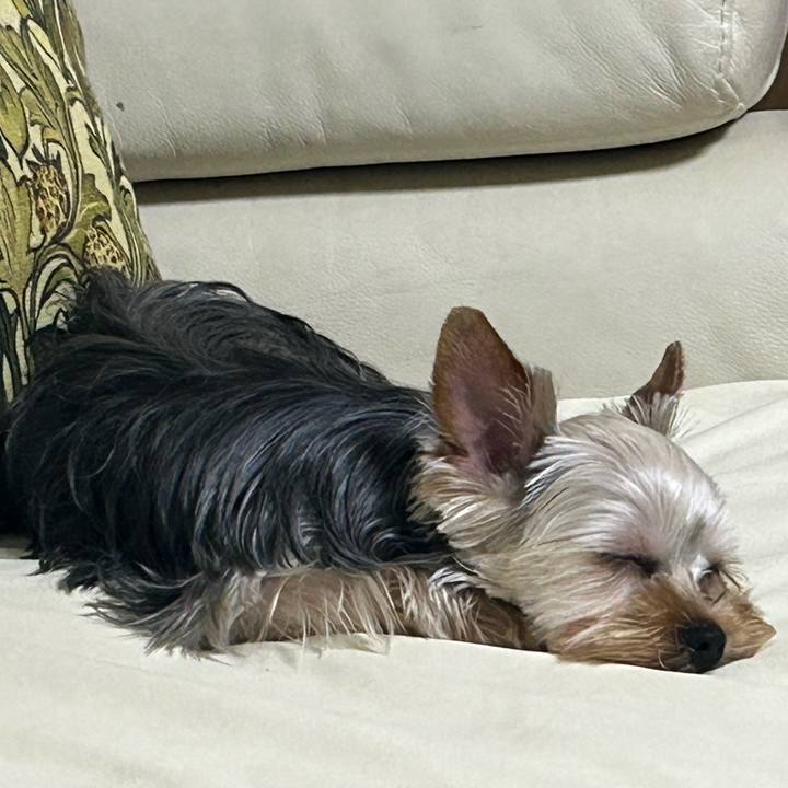 F6d53cf1 cd62 4862 9d2a 4bf696148f9e 1747487316488