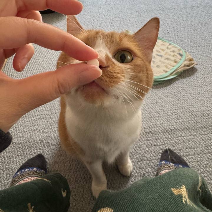 F6d55d6b c3e8 46ac 82ec 0a2b913ba429 1761975037535