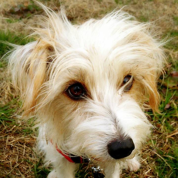 F6d57698 6df0 42bc b0f9 536efb7b0ba9 1514071192217