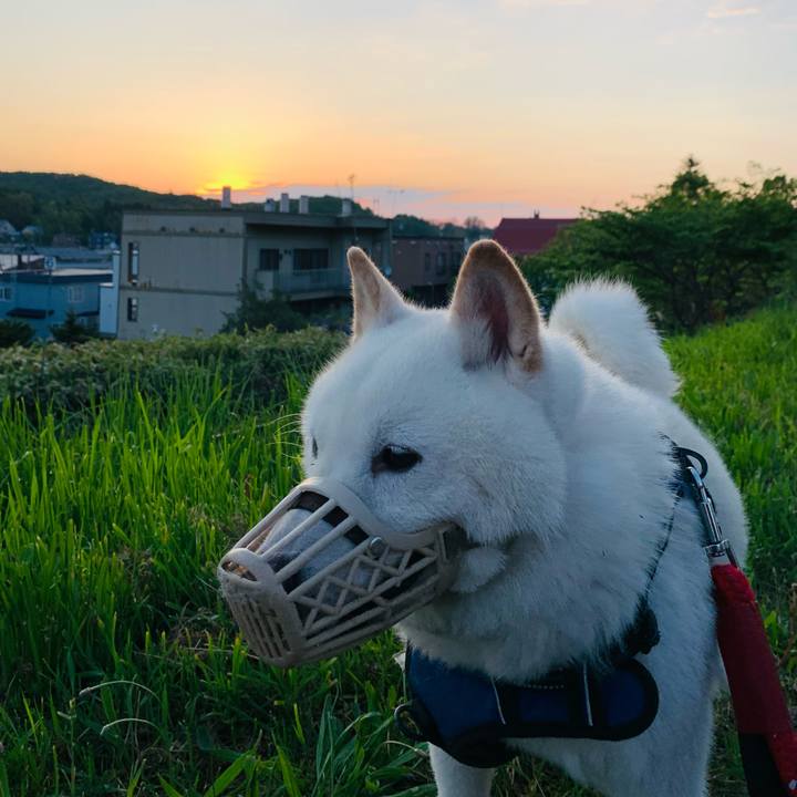 F6d5982d b160 4d6c b32b a67cc28a6a3a 1653509966572