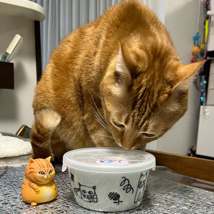 F6d59c8e 70fd 4d13 b090 155faf5d6c5f 1676783657535