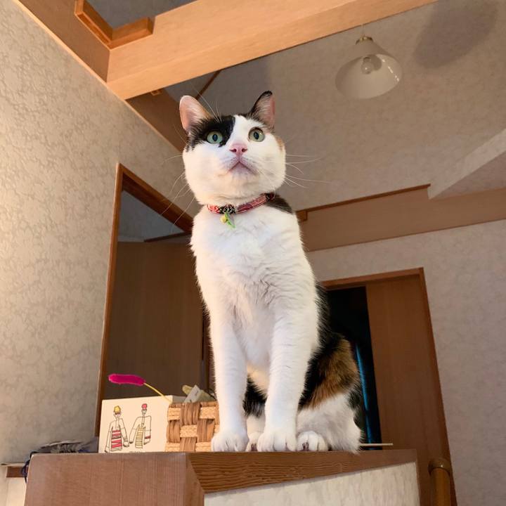 F6d5ae20 6350 48e9 bebd 9ee02fe86113 1571872103116