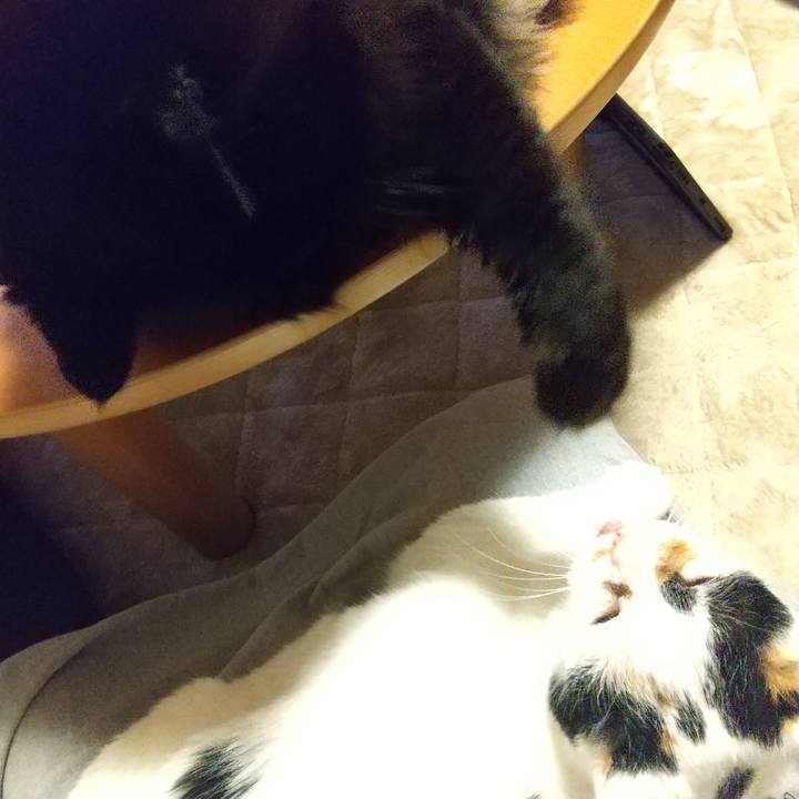 F6d606e3 dde6 40c5 b050 ac3f7bf25a2a 1654083083145