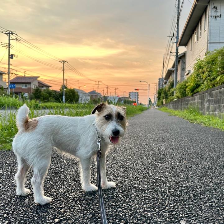 F6d64191 b16e 4808 8eef 550504a611de 1721802404829