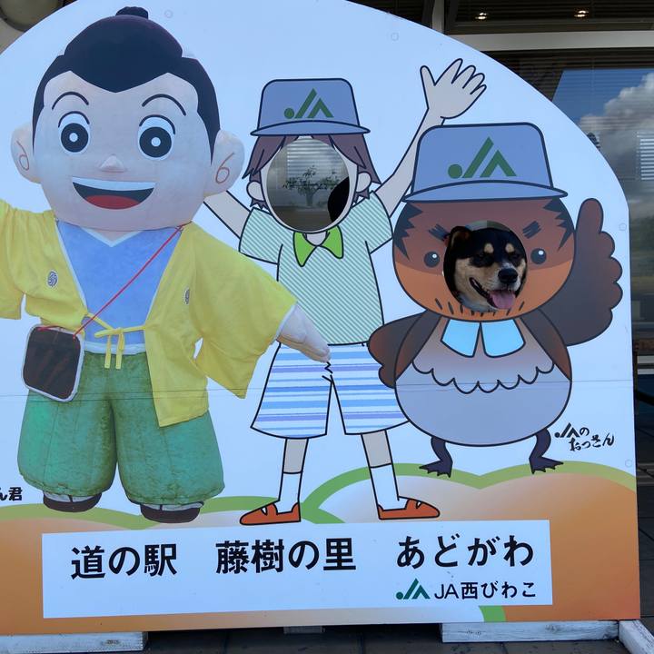 F6d69008 fbcd 423a 9ab3 82e5d4707f2c 1633518714574