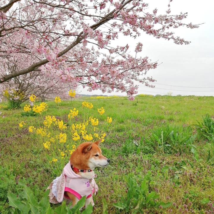 F6d6a7b2 bdb3 417e 8baf 272da26aee64 1648552985561