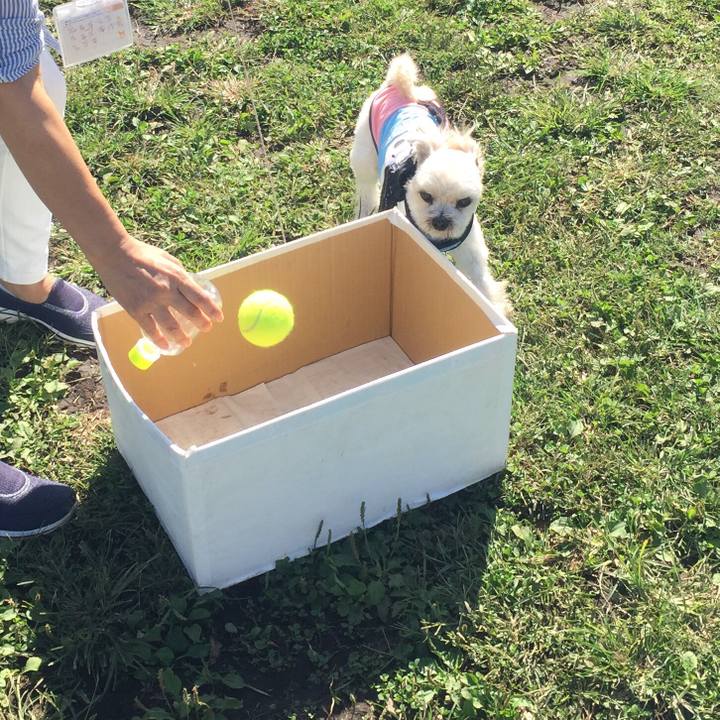 F6d6dcea 5dc6 4200 b08e eee53394d167 1538815431323