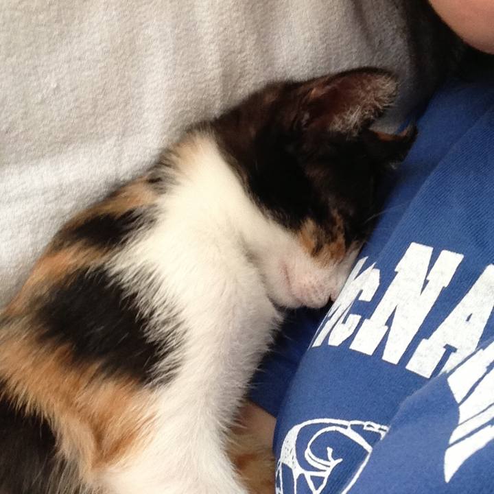 F6d6f2bf 8321 48af b436 2dac599f2c88 1536283733291