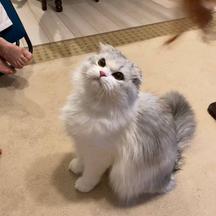 F6d7219d 118d 4854 aa20 1454d58472ab 1622083002828