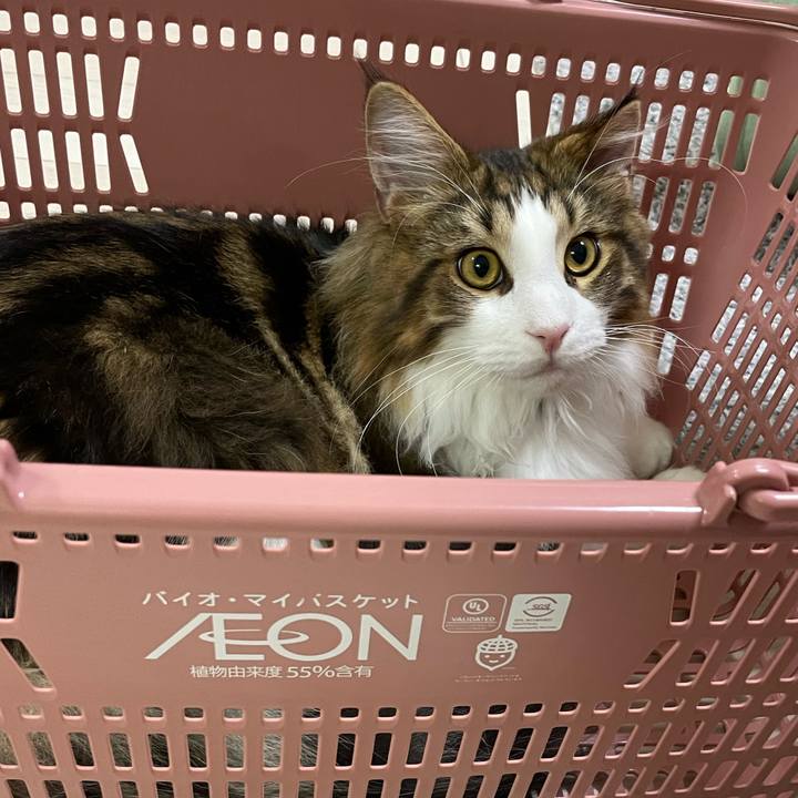 F6d73160 ef64 46b5 be9a 5d7d5b981abd 1641713592922