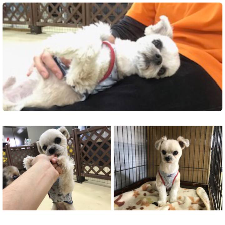 F6d73d1f 530c 40f4 9ed2 6bcd710aad95 1552393339491