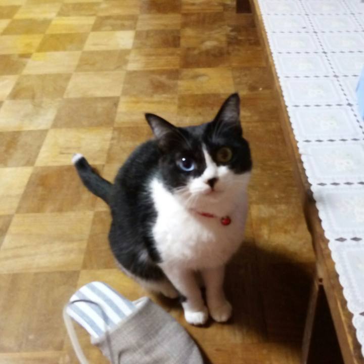 F6d73f2a efed 44a9 a469 f2b3559a4be2 1512091084525