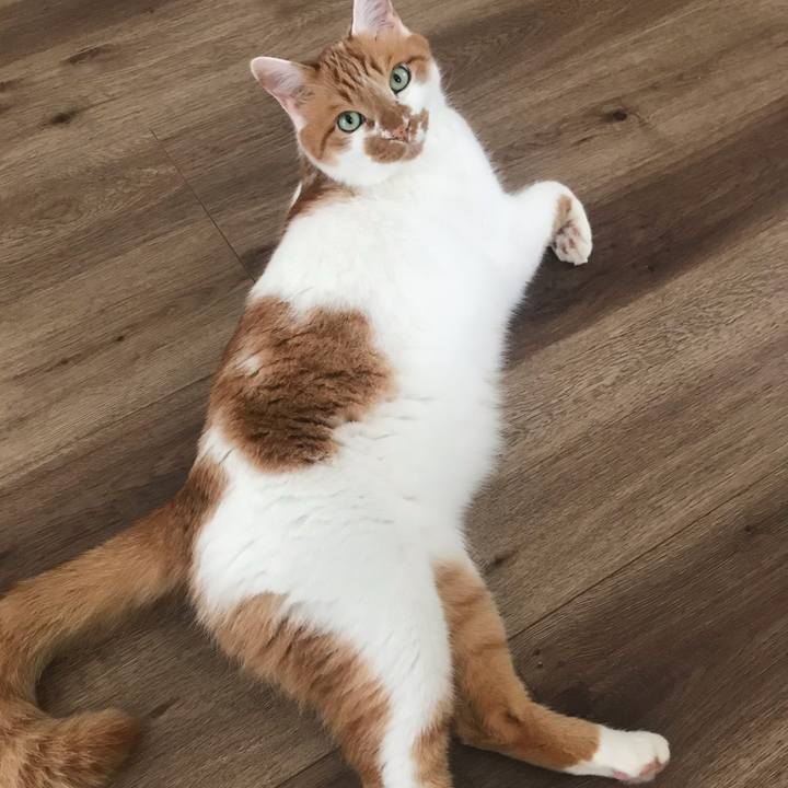 F6d749f5 fb78 4cb3 81fd d43445683561 1622937875917