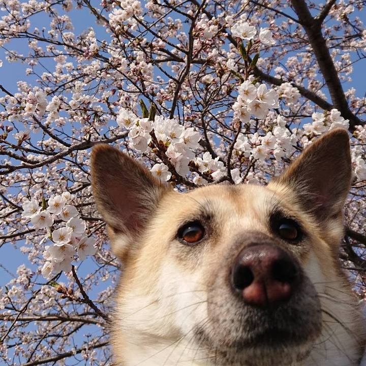 F6d761d1 c3dc 4182 93ca 2e9424f050ee 1555992023884