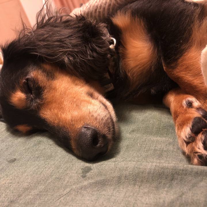 F6d77223 4028 4a2e 989d 4ad773f08f61 1574776463019