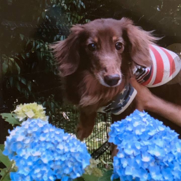 F6d7c392 639e 4b1d 96a6 9af2e31b6d0f 1694409557270