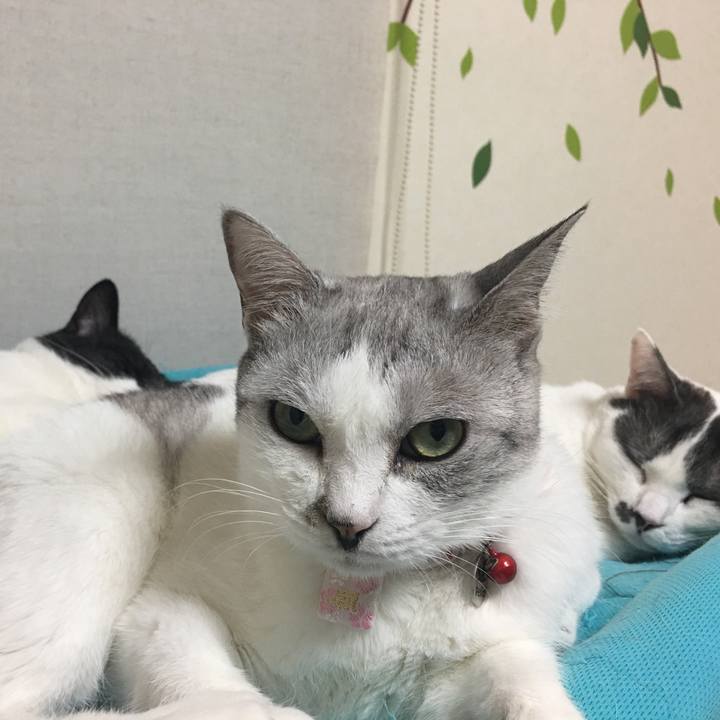 F6d7ce05 589d 4a22 a6cd e77a7e0ba5d4 1514990595518