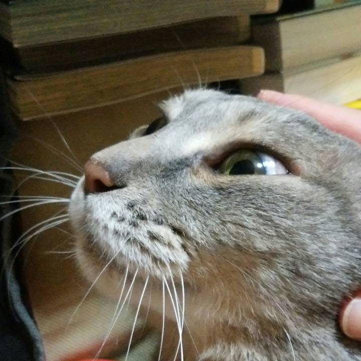 F6d7e310 7657 450e b239 333da4d4d2c2 1532100202418