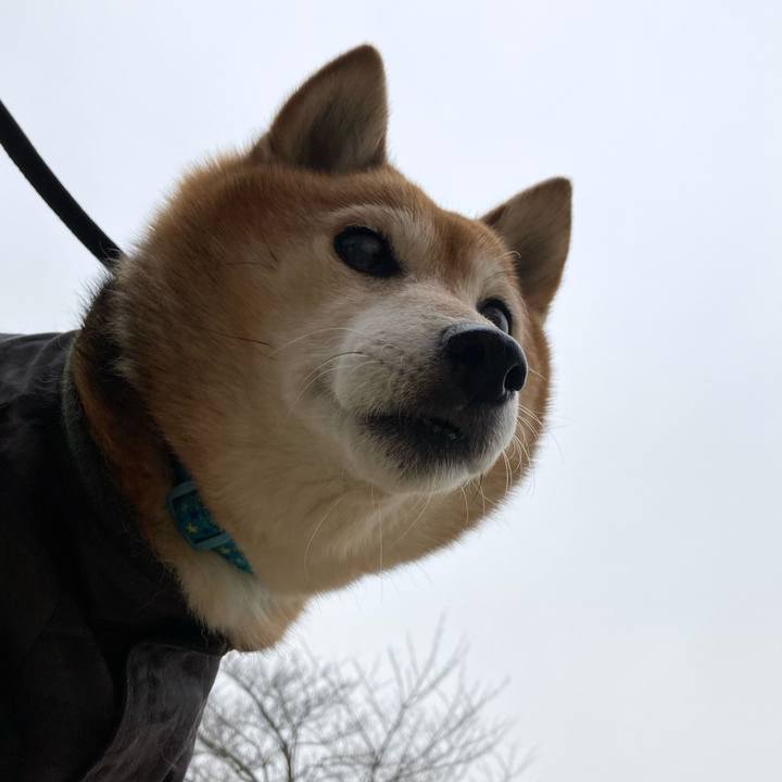 F6d82601 51f3 4e94 8bac 79846b0c6989 1674800931520