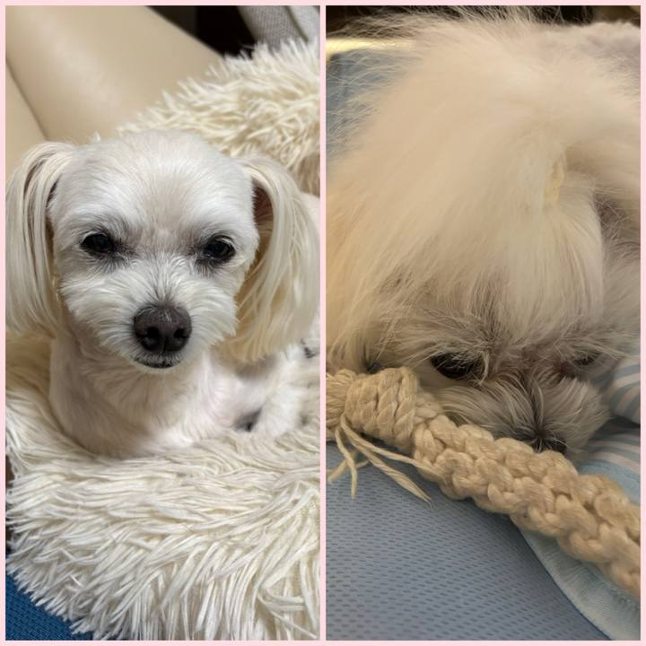 F6d848b7 e23f 40fc 90ea 45f02124d0de 1751370614957