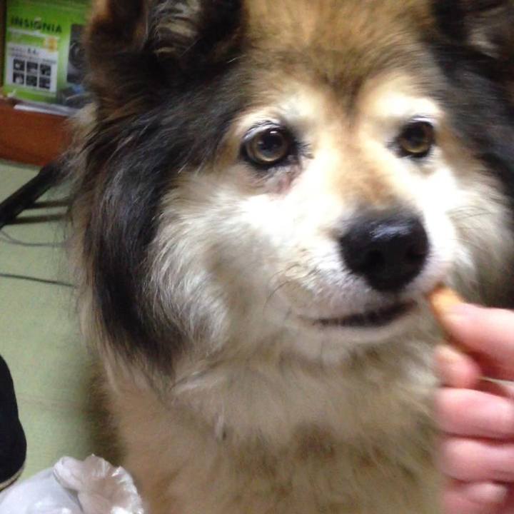 F6d85dc1 c34c 4669 879f bdd1812621cf 1609007703337