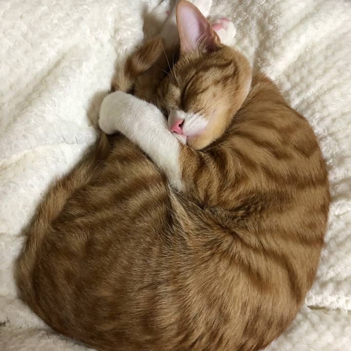 F6d8894c abdd 4739 801c f47a969f6243 1550663829598