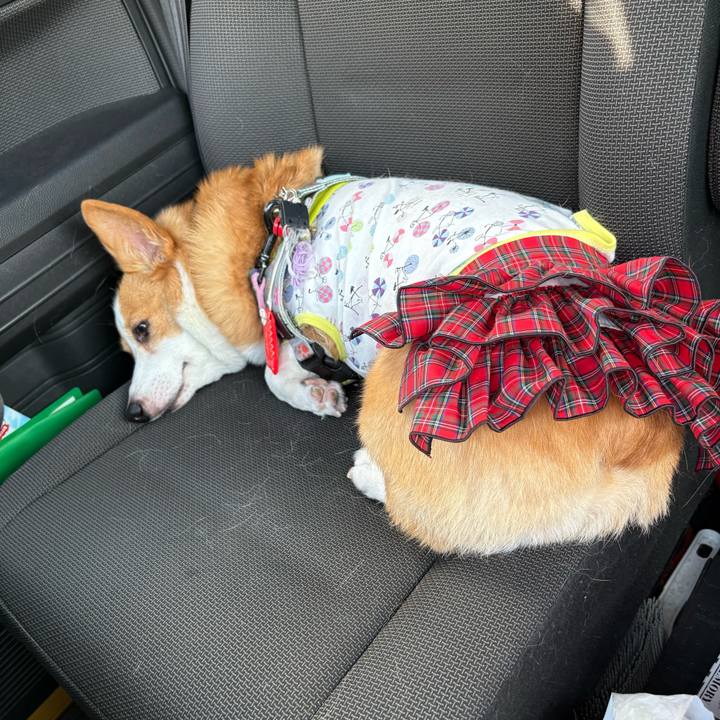 F6d8b31a 602a 46f0 92c1 f17cc7a3e3c5 1775878106002