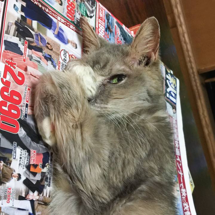 F6d8bfda 99dd 41e4 a72f 79b1d5934566 1535118381910