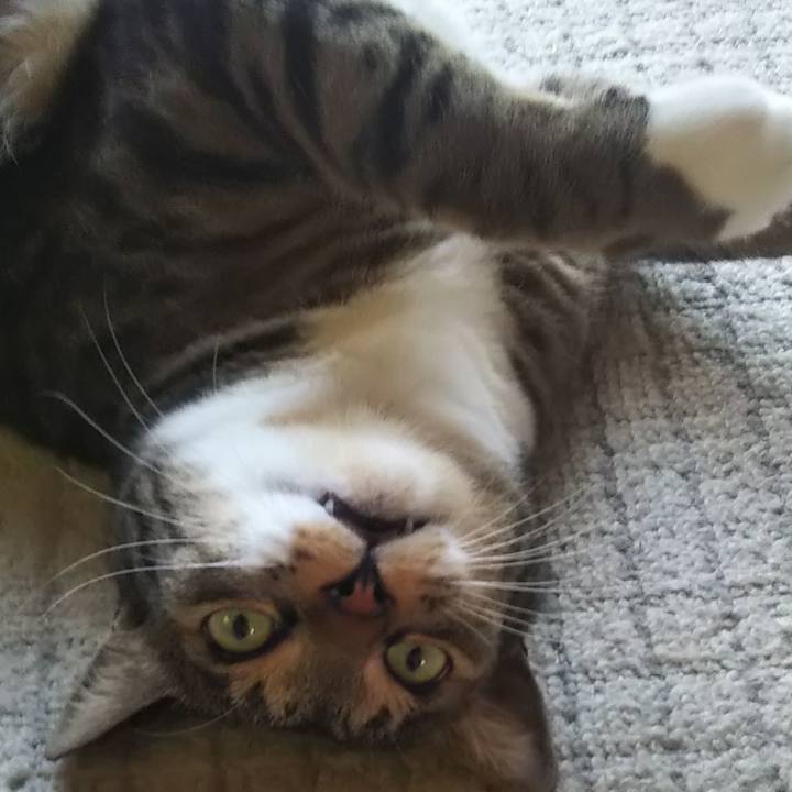 F6d8dd9e b696 4210 9fea 918bd395d6ef 1627861398023