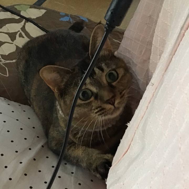 F6d8e5d5 feb3 4b2d a095 0e85ab4327a6 1664078371374