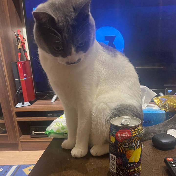 F6d8ebd3 324c 45c7 8a3d c36a6fd3d034 1627221191003