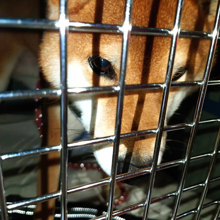 F6d8facb 82be 4658 82ec 6256b603950e 1767700771081