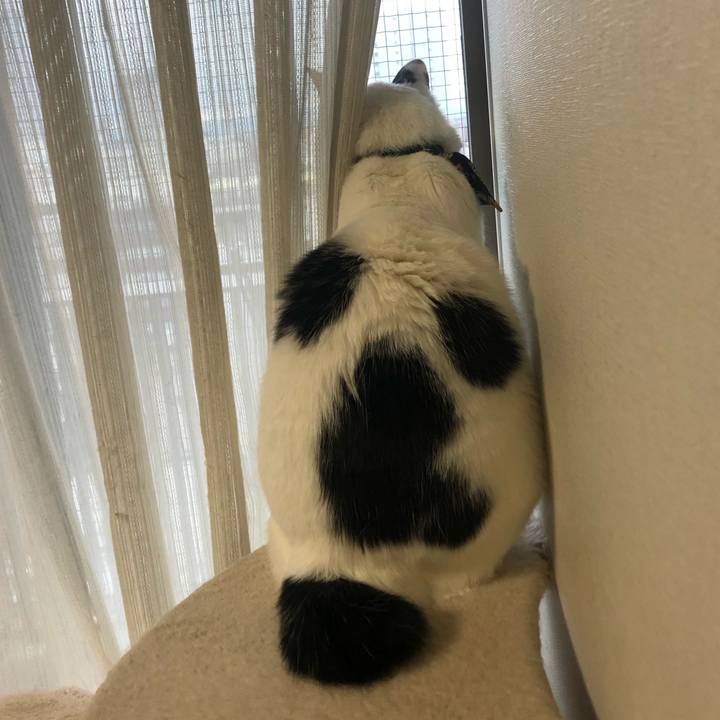 F6d8fafc dd67 44f1 8ed7 3322cd5c995f 1576193621317