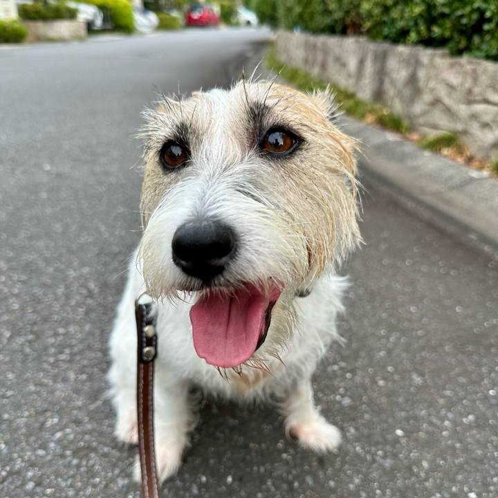 F6d9198e 1518 44cb b782 de18ebc827c8 1754552485026