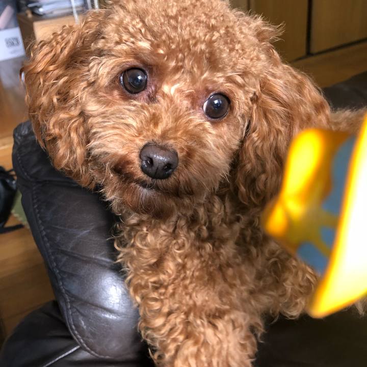 F6d91a7f 026b 4f4b 9371 54614963405d 1517782766281