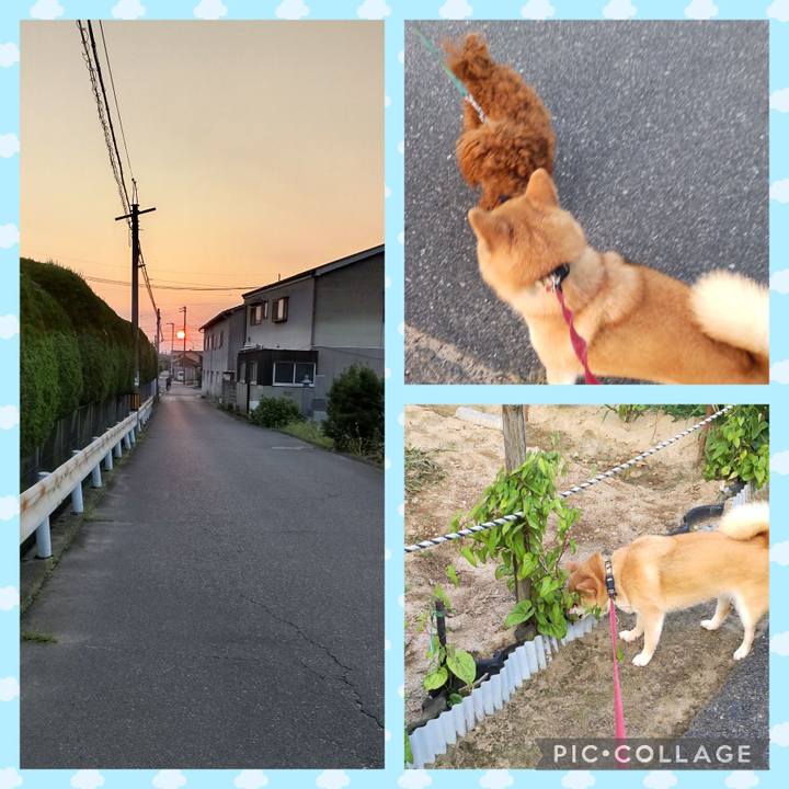 F6d94bac b530 4f7c b5d5 86436b34e015 1751231454249