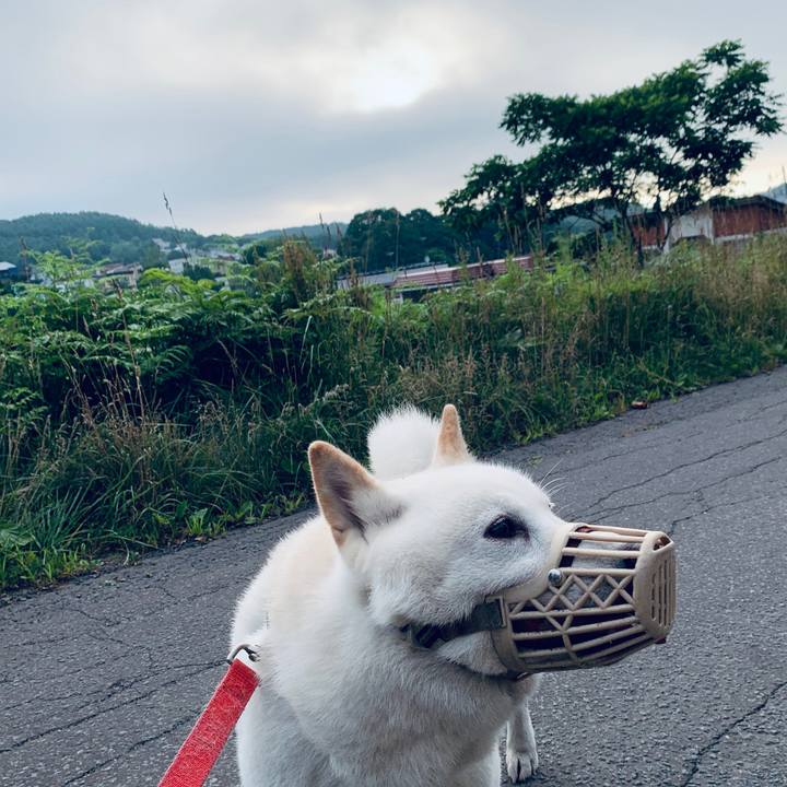 F6d95f29 e203 4038 bdd5 400f085a5f83 1595277591090