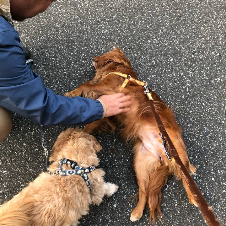 F6d99a0b dbfa 4182 ad4e c86d18c2b140 1614514220942