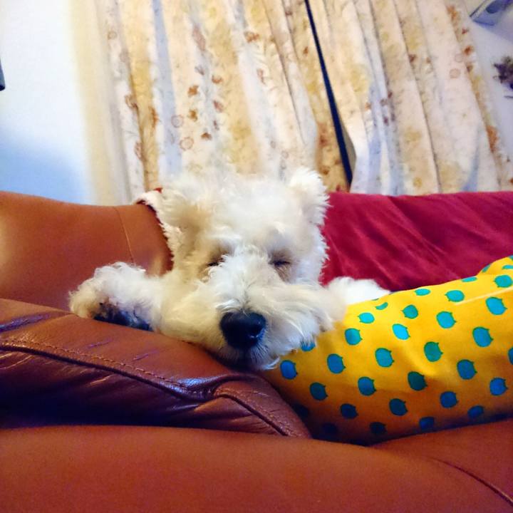 F6d9b114 e1a6 41ee 93a0 46d6a756da13 1618393995656