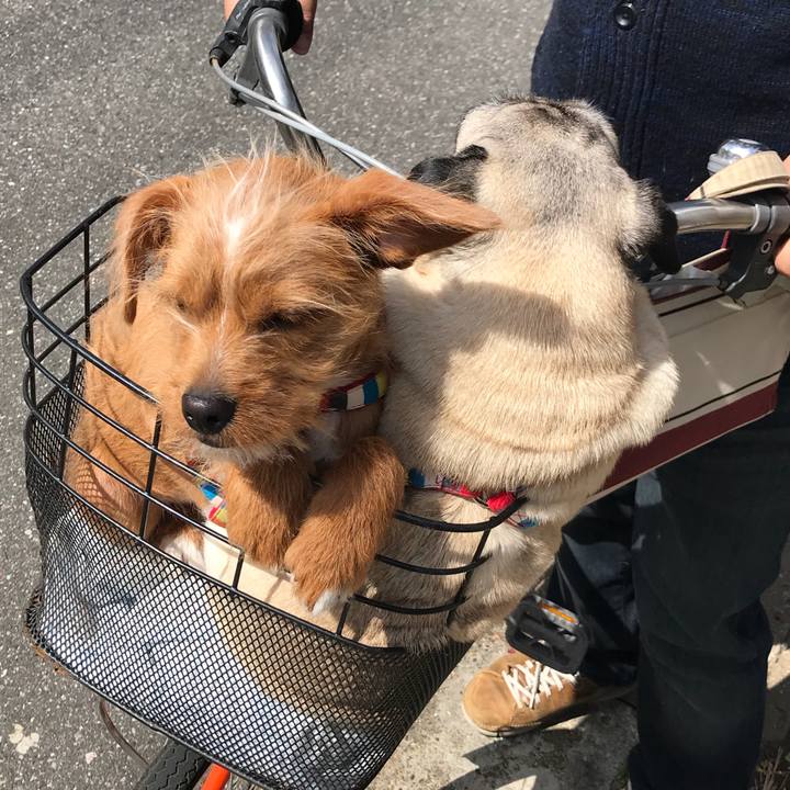 F6d9d4fc 7539 42fc aee9 a9783e88715d 1522368985146