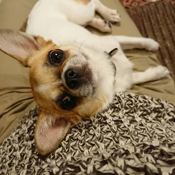 F6d9e54a 4115 46ae 9749 0925af52e7c2 1559118218001